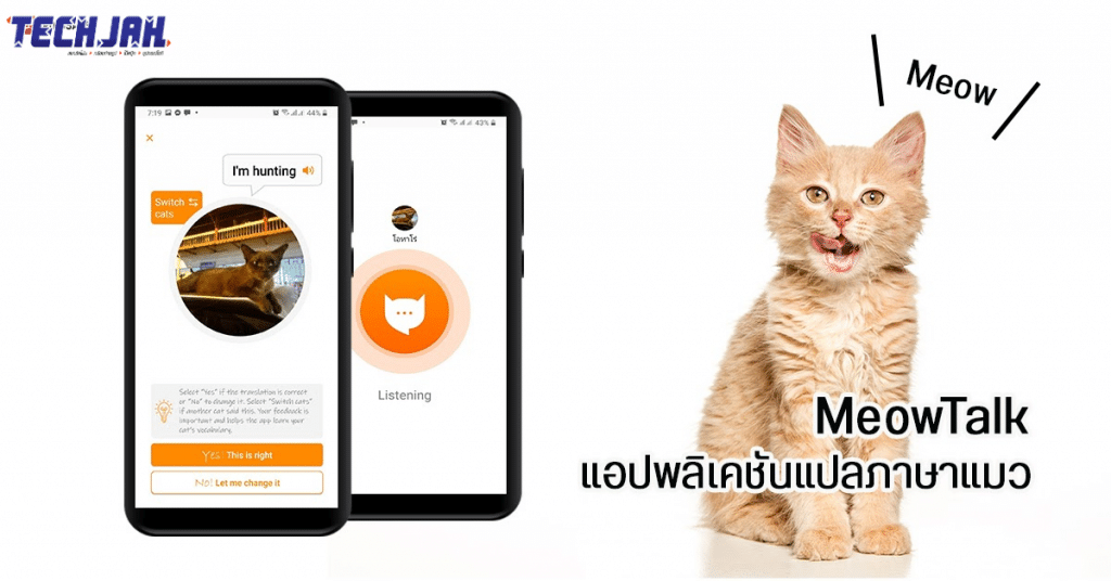 คุยกับแมวด้วยภาษาแมวผ่านแอพ MeowTalk